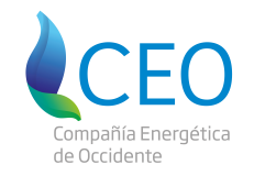 LOGOS-CEO